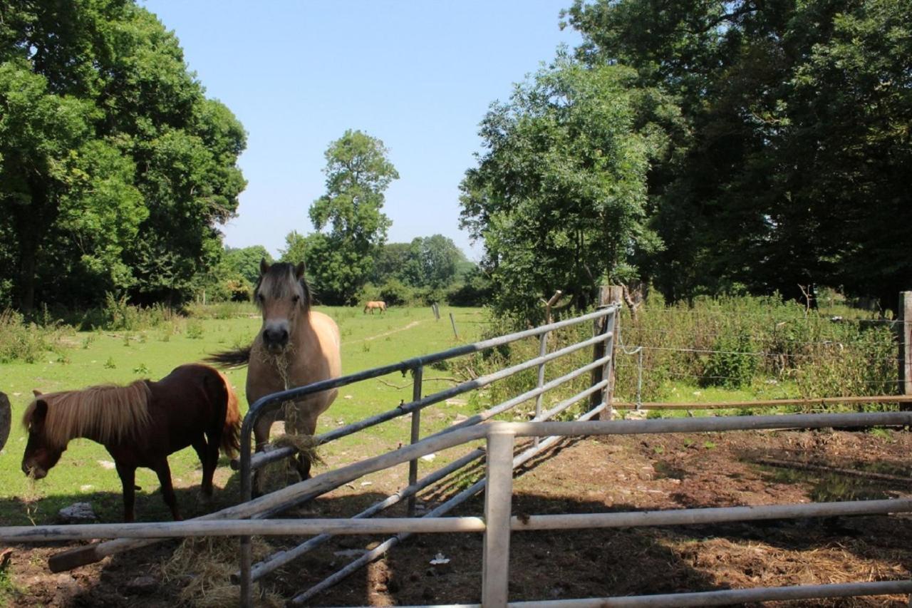 Вілла La Ferme De La Croix Saint-Quentin-Lamotte-Croix-au-Bailly Екстер'єр фото